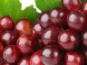 Духи-спрей для дома Виноградная гроздь - Grape Cassis 150 мл